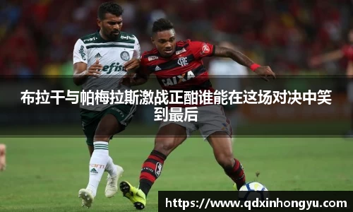 xk体育